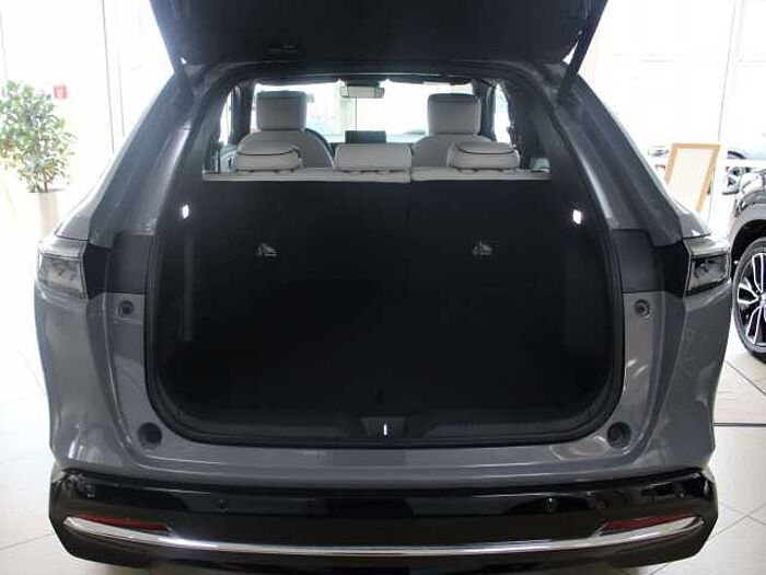 Honda e: Ny1 Advance Paket